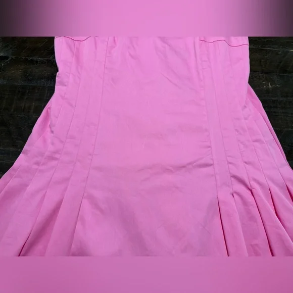 NWT ZARA Bloggers Favorite Pink Pleated Mini Dress Sz XL - Picture 13 of 16